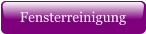 Fensterreinigung