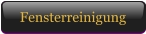 Fensterreinigung